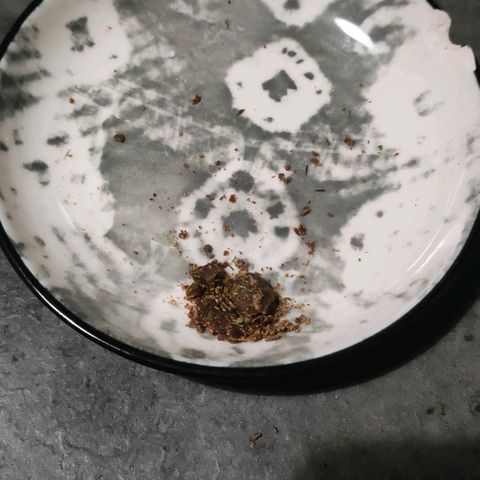 Sour Apple growlog timeline photo
