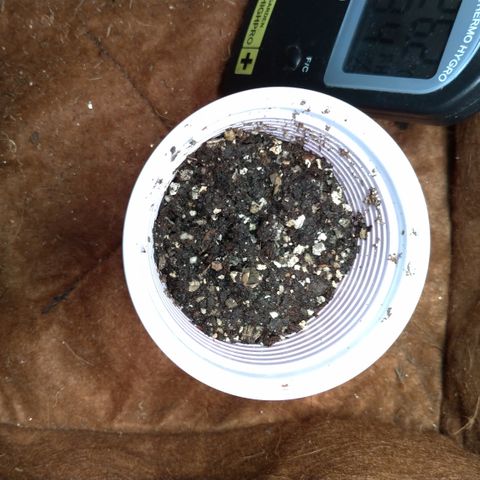 WW#1 growlog timeline photo