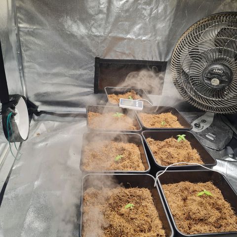 Destroyer Auto growlog timeline photo