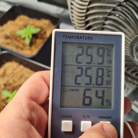 Destroyer Auto growlog timeline photo