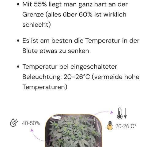 Benjis White Weed #3 growlog photo: Temp. + RH nach Wachstumsphase 
