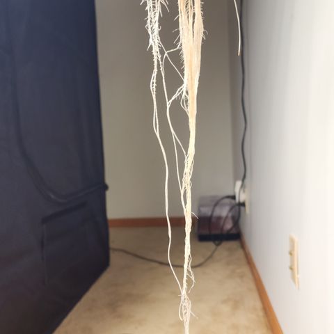 OSMH #4 growlog timeline photo