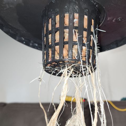 Mix #2 growlog timeline photo