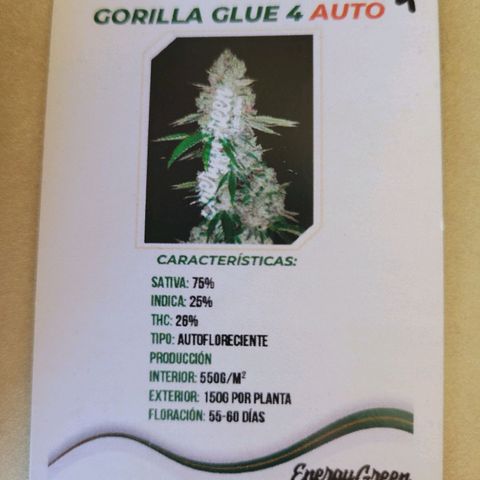 Gorilla Glue #4 growlog timeline photo