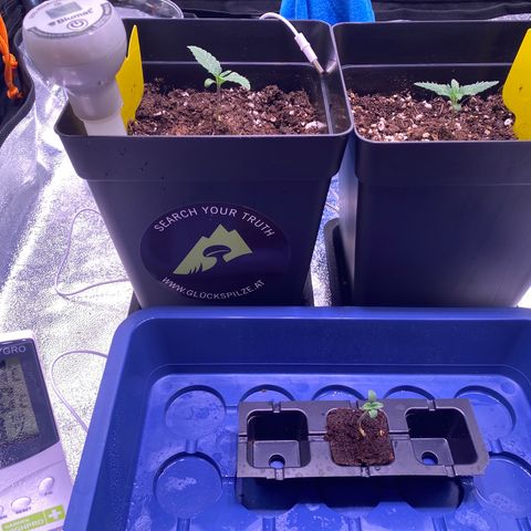AK-48 growlog timeline photo