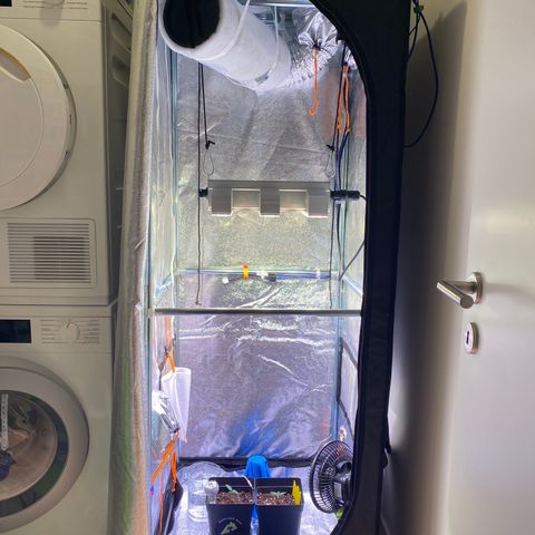 AK-48 growlog photo: Lights lowered 