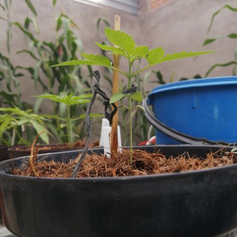 Error 404 growlog timeline photo