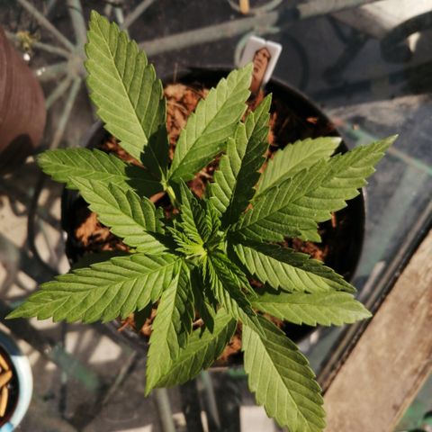 Error 404 growlog timeline photo