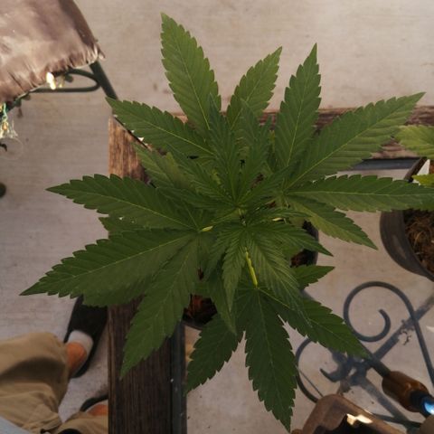 Error 404 growlog timeline photo