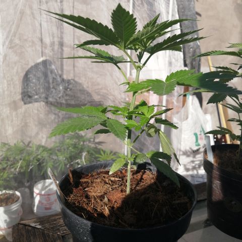 Error 404 growlog timeline photo