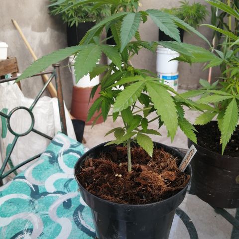 Error 404 growlog timeline photo
