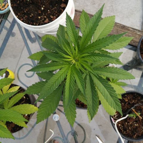 Error 404 growlog timeline photo