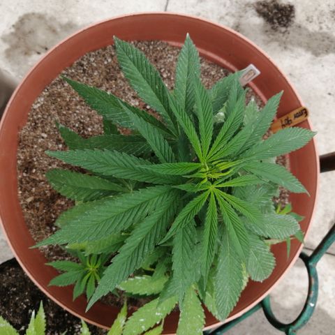 Error 404 growlog timeline photo