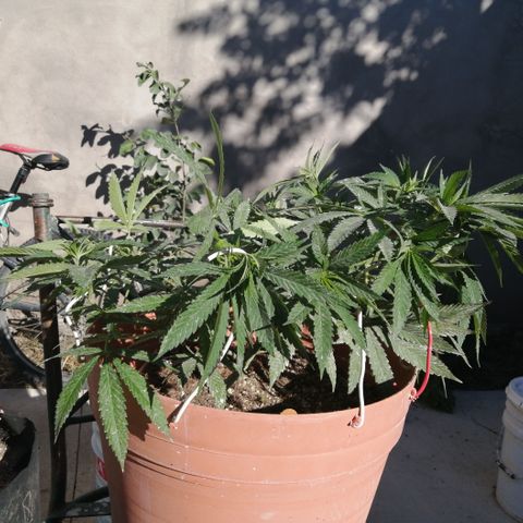 Error 404 growlog timeline photo