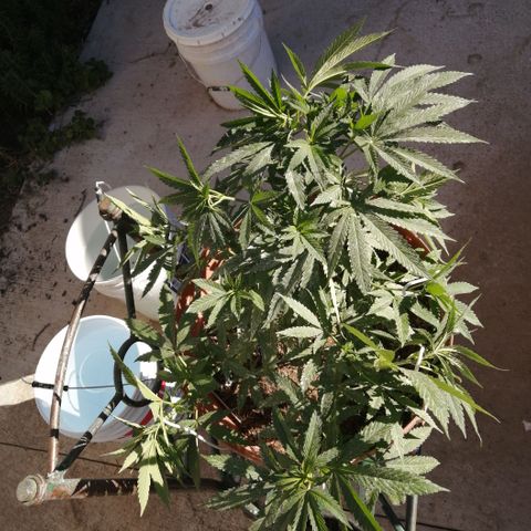 Error 404 growlog timeline photo