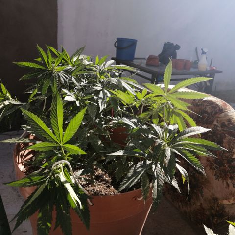 Error 404 growlog timeline photo