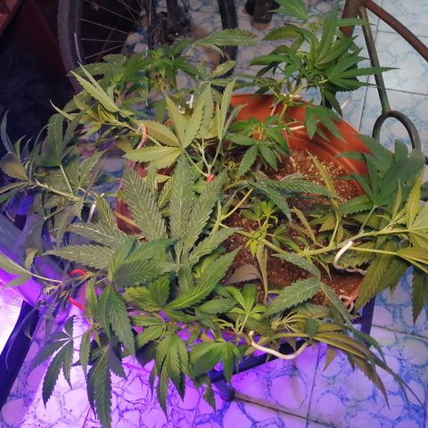 Error 404 growlog timeline photo