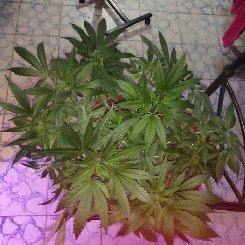 Error 404 growlog timeline photo