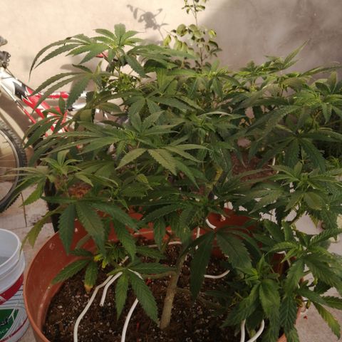 Error 404 growlog timeline photo