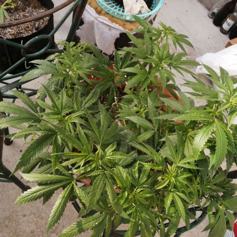 Error 404 growlog timeline photo