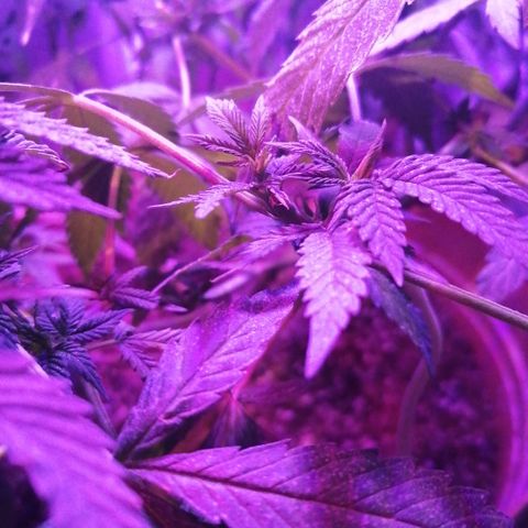 Error 404 growlog timeline photo