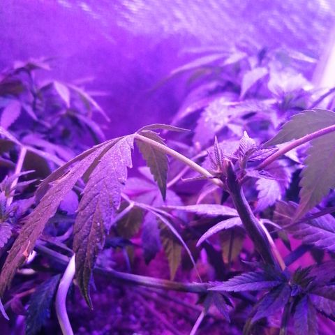 Error 404 growlog timeline photo