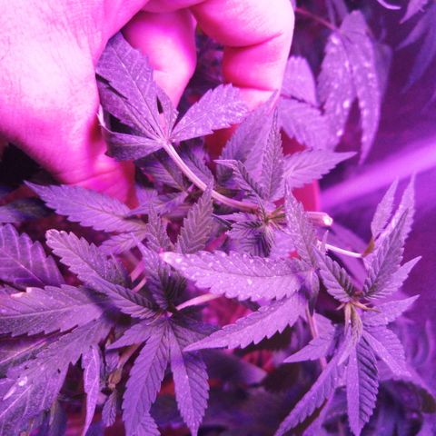 Error 404 growlog timeline photo