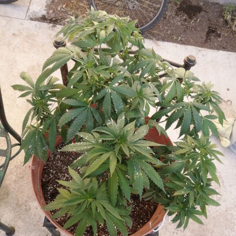 Error 404 growlog timeline photo