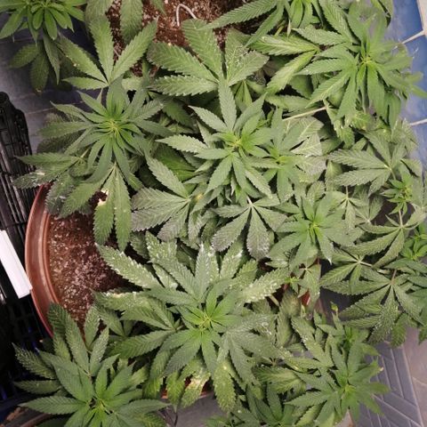 Error 404 growlog timeline photo