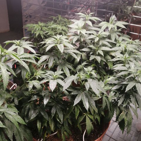 Error 404 growlog timeline photo