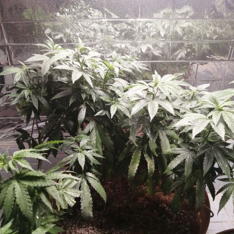 Error 404 growlog timeline photo