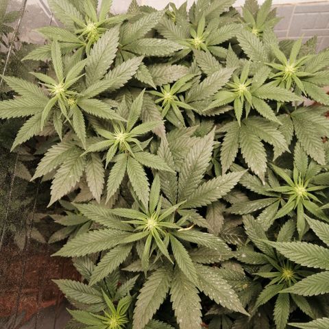 Error 404 growlog timeline photo