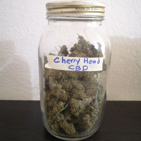 Cherry Head Cbd growlog timeline photo