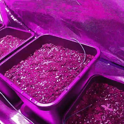 Kritic 70 growlog timeline photo