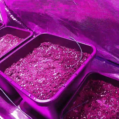 Kritic 70 growlog timeline photo