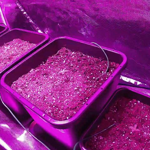 Kritic 70 growlog timeline photo