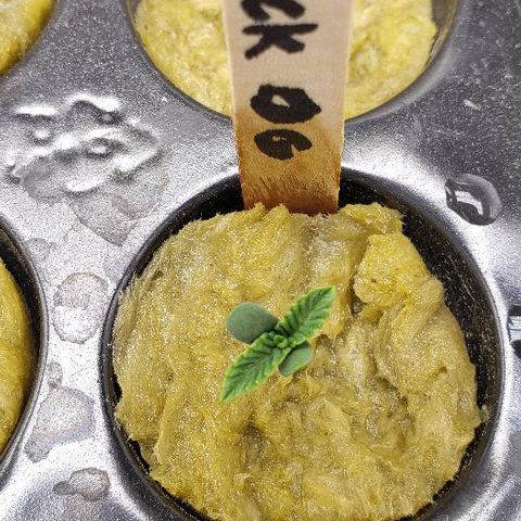 Robert Stack OG growlog timeline photo