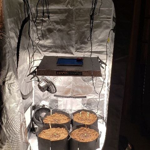 Robert Stack OG growlog timeline photo