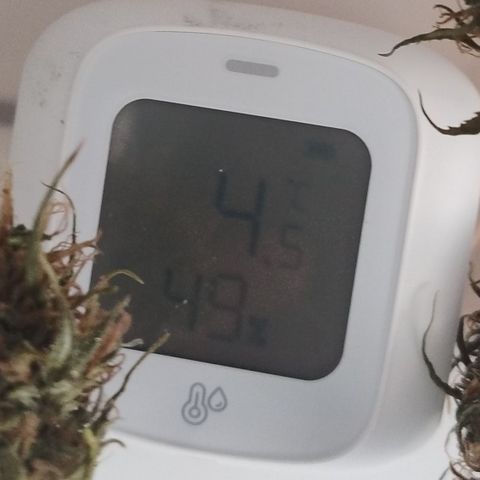 Julia growlog timeline photo