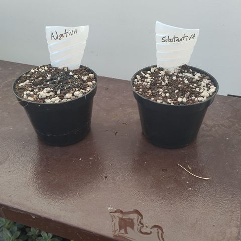 Substantiva 1 growlog timeline photo