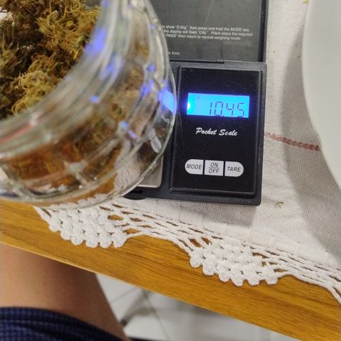 Julia growlog timeline photo