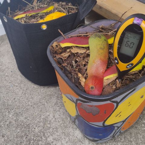 Substantiva 1 growlog timeline photo