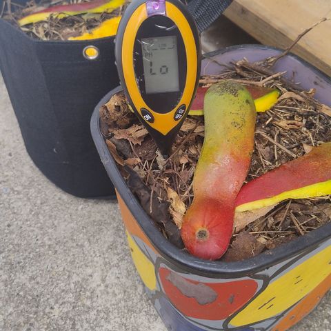 Substantiva 1 growlog timeline photo