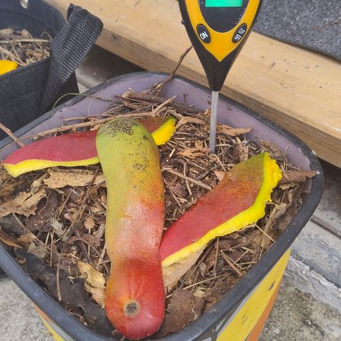 Substantiva 1 growlog timeline photo