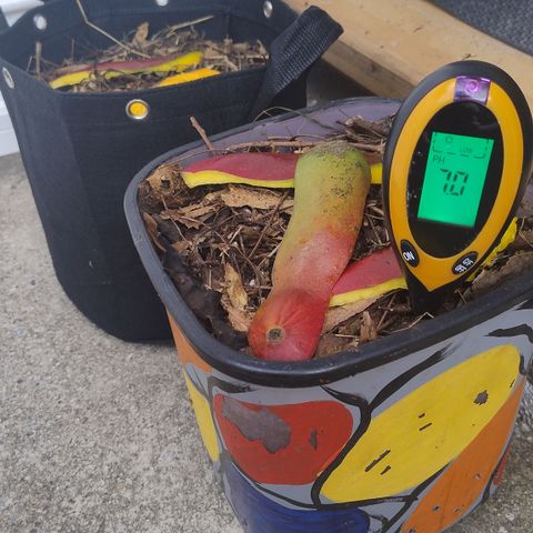 Substantiva 1 growlog timeline photo