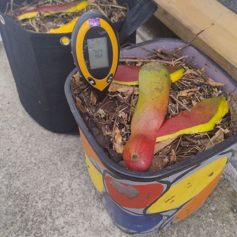 Substantiva 1 growlog timeline photo