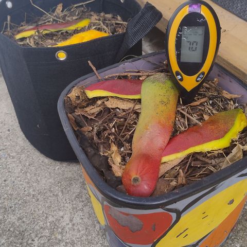 Substantiva 1 growlog timeline photo