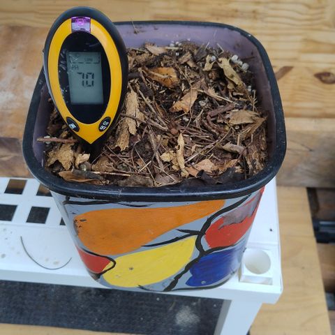 Substantiva 1 growlog timeline photo
