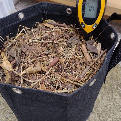 Substantiva 1 growlog timeline photo