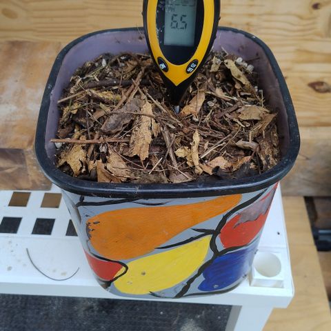 Substantiva 1 growlog timeline photo
